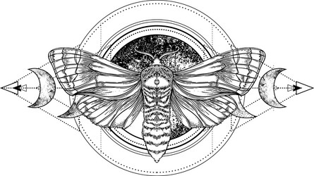 Sacred Geometry Moth Vector Image