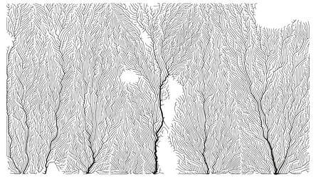 growth pattern generative branching structure vector image