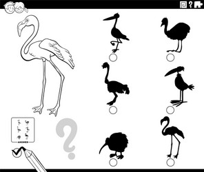 Shadows game with flamingo character coloring vector