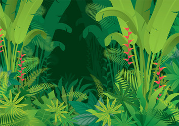 Dark Tropical Rainforest Background Vector Image