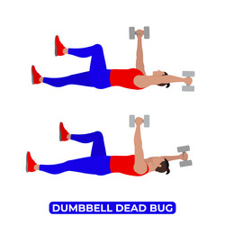 man doing dumbbell dead bug exercise vector