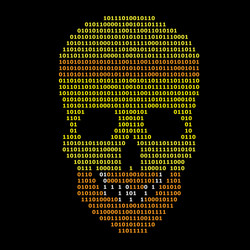 abstract binary skull vector image