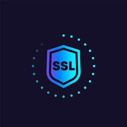 Ssl secure icon with shield vector