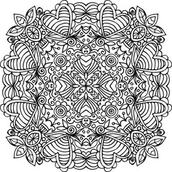 Floral Mandala Ornament Vector Image