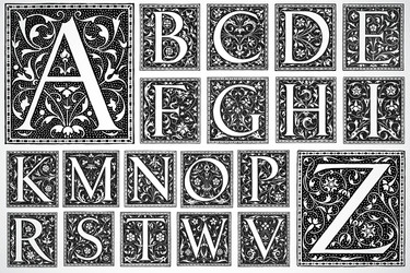 Botanical Woodcut Print Vector Image