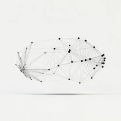 Complex Network Connection vector