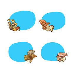 hand drawn mushrooms stickers set vector