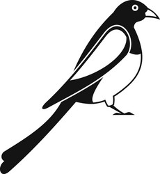 male magpie icon simple style vector