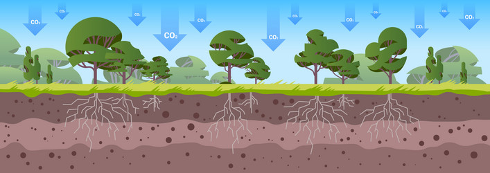 trees as symbol of carbon credits co2 vector