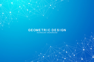 abstract polygonal background with connected lines vector image