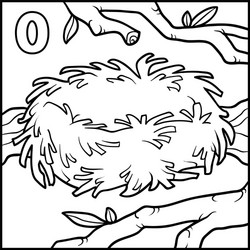 Nest Coloring Page Vector Images (over 180)