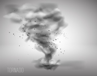 Tornado on a white background Royalty Free Vector Image