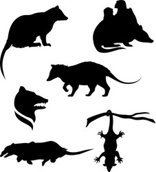 Opossum Silhouettes Vector Image