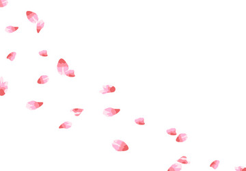 Sakura flying petals in the wind isolated vector
