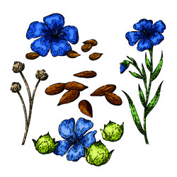 Flax set sketch hand drawn Royalty Free Vector Image