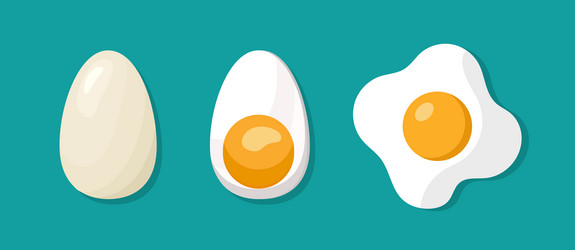 Boiled fried and whole egg poached vector