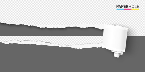 realistic torn paper scroll and hole on horizontal vector image