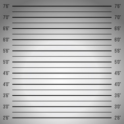 Police lineup mugshot background shot up photo Vector Image Police lineup mugshot background shot up photo Vector Image