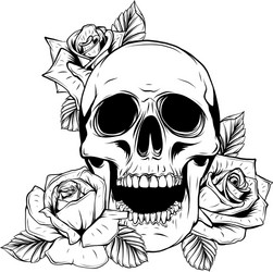 Skull with Roses - Gothic Floral Vector Image