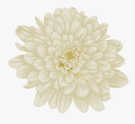 Dahlia Tattoo Vector Images (over 240) Dahlia Tattoo Vector Images (over 240)