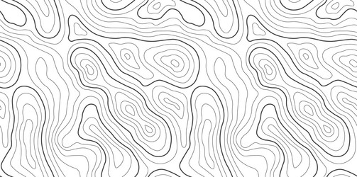 seamless map pattern with topographic lines vector image