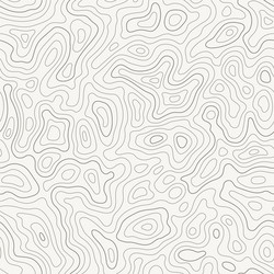 Topographic Line Map - Seamless Pattern vector image
