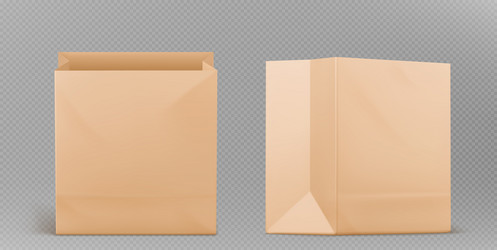 realistic brown paper bag mockups vector