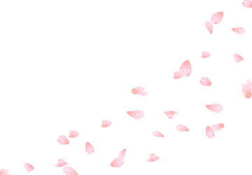 Sakura Wind Petals - Pastel Blossom vector