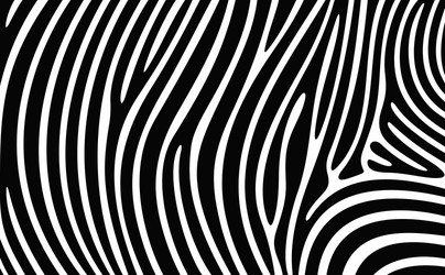 zebra print vector image
