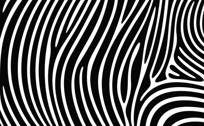 Zebra print vector