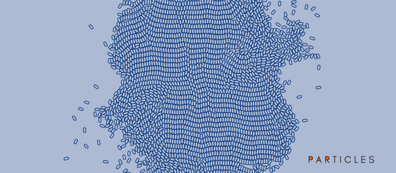 Irregular Particle Matrix vector