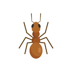 cute ant icon flat style vector