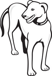 Dog standing front cartoon vector