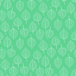 elegant pattern with leafs drawn in thin lines vector image