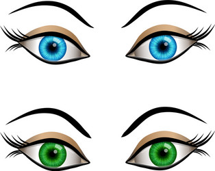 Blue and green female eyes vector