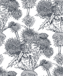 Thistle Botanical Pattern vector image