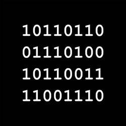 binary code and background vector