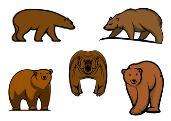 brown wild bear characters Vector Image