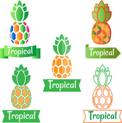 tropical logo symbol pineapple vector