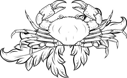 monochrome crab with claws sketch in a linear vector image