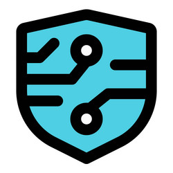 Use of shield programming for enhanced security vector