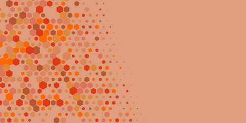 geometric multi size hexagon with color vector
