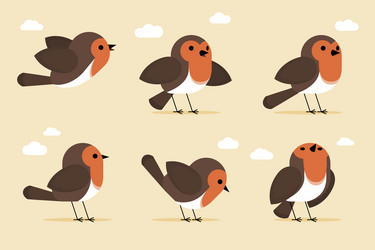 hand drawn robin set vector