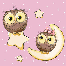 Two cartoon owls on a heart background Royalty Free Vector