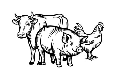 Farm Animals: Cow, Pig, and Chicken Vector Image