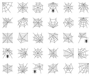 Spiderweb set different type cobweb vector
