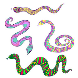 collection decorative colorful ethnic snakes vector