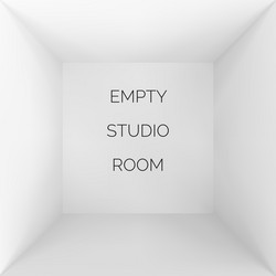 Empty 3d studio white container inside view vector