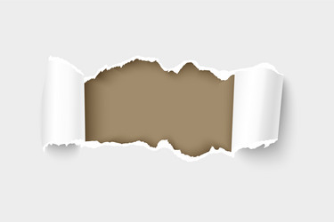 3d realistic torn paper vector