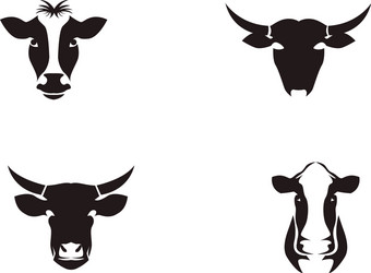 Cow head symbols and logo template vector